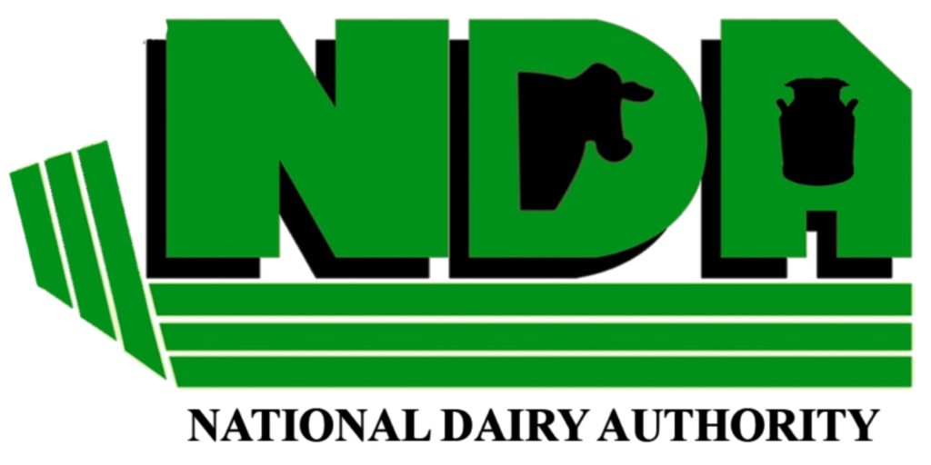 The Playground Wireframe (6)