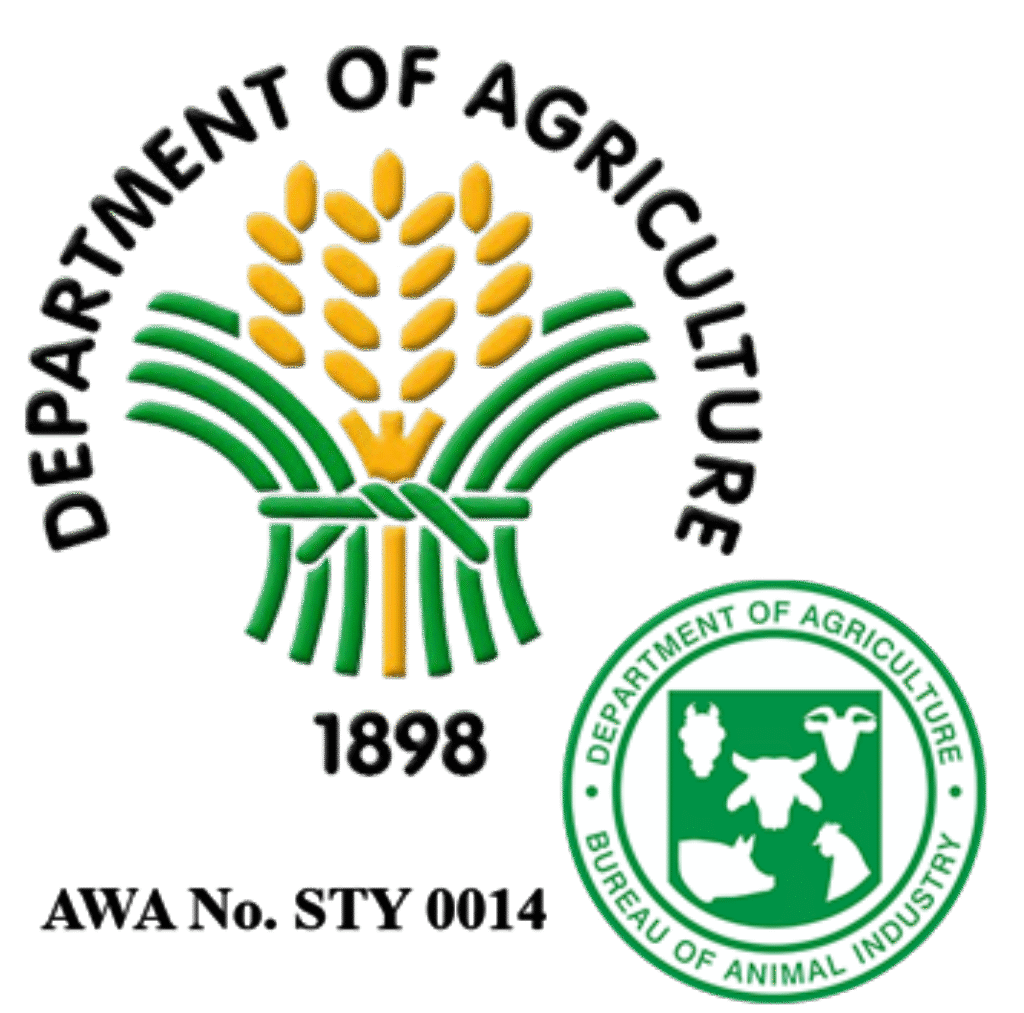 The Playground Wireframe (9)