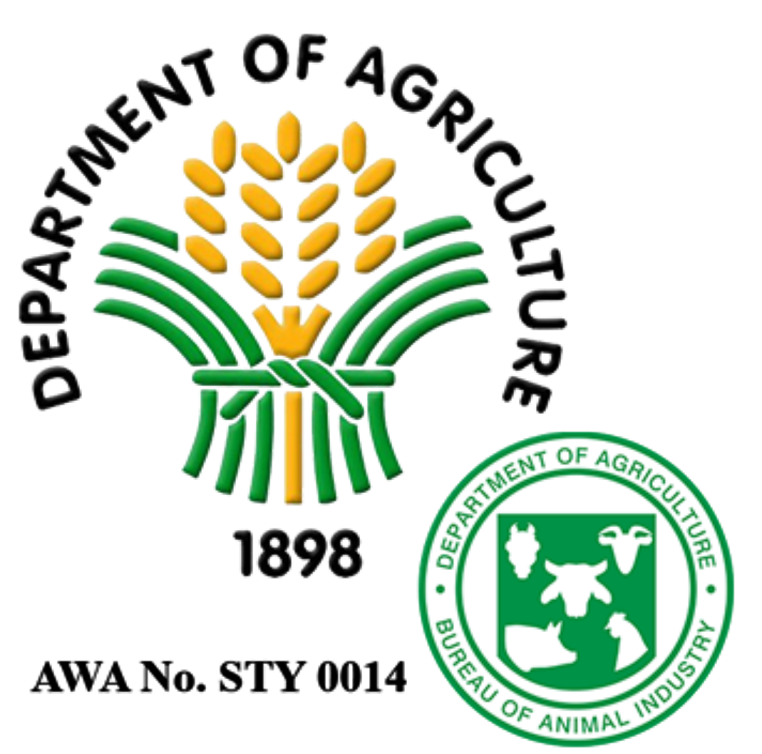 The Playground Wireframe (9)